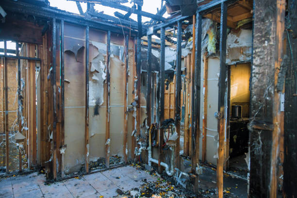 Professional Soot Cleanup technician working in Fairmont City, IL